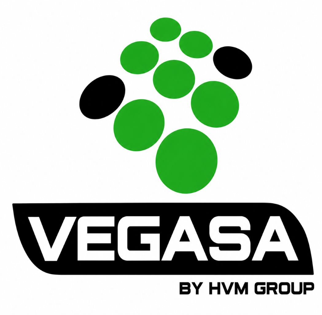 VEGASA Logo